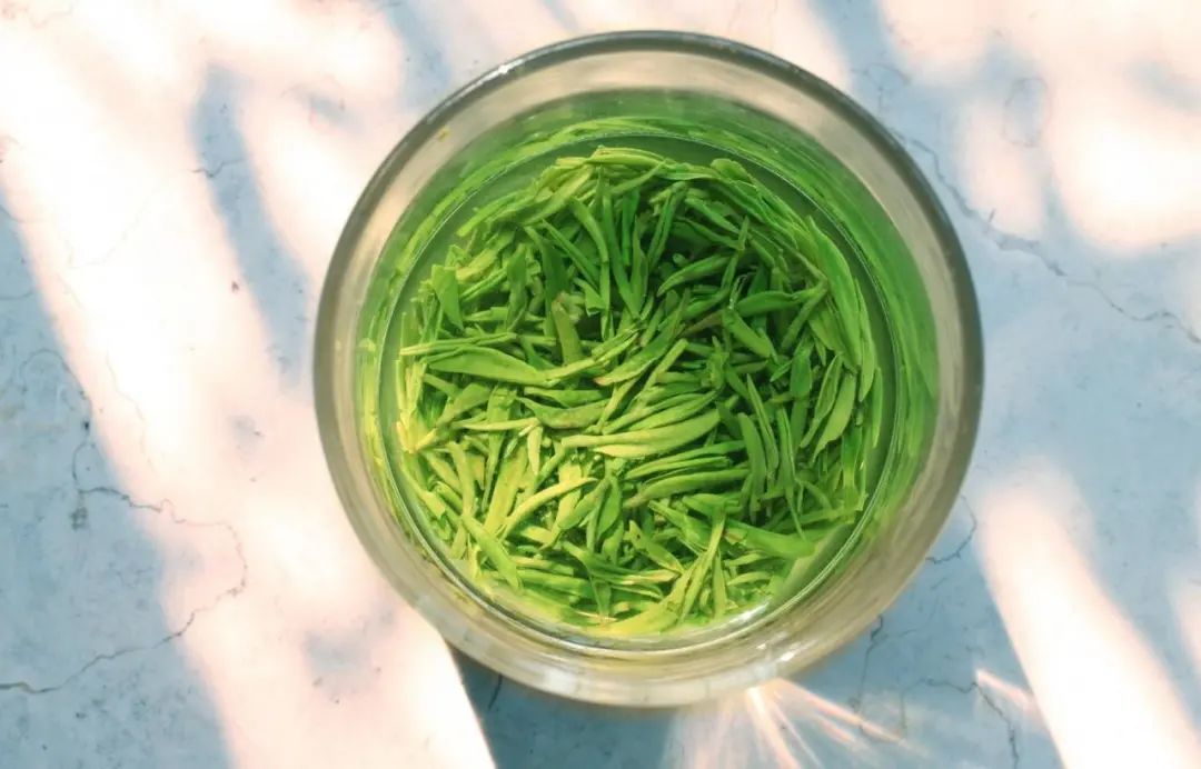 喝茶头晕想吐的原因,喝茶以后头晕目眩呕吐怎么办