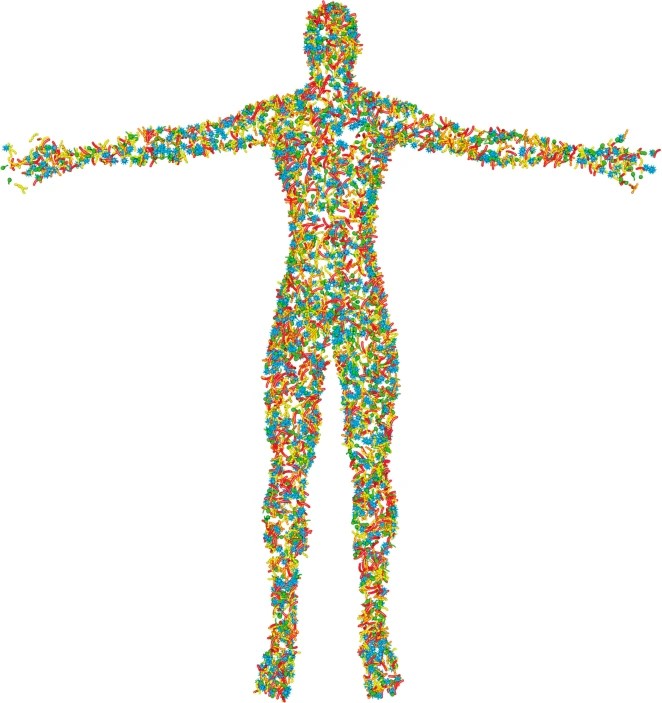 皮肤菌群,皮肤菌群管理视频