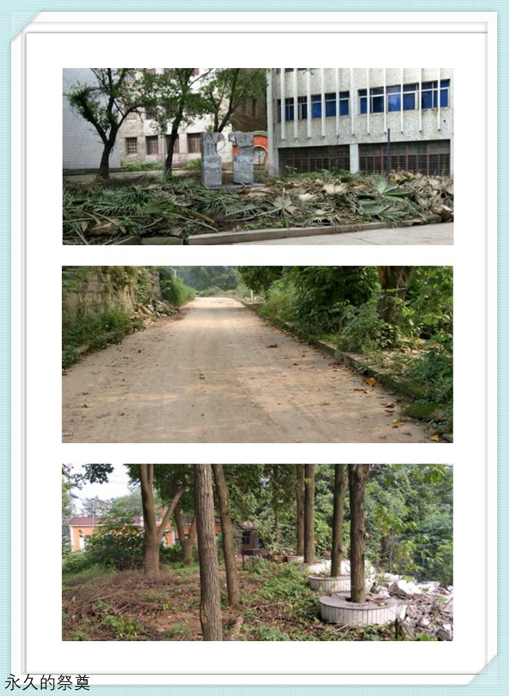 重庆煤校,重庆煤技校原上桥老照片