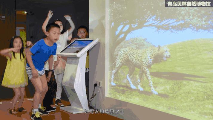 青岛贝林自然博物馆,青岛贝林博物馆门票优惠政策