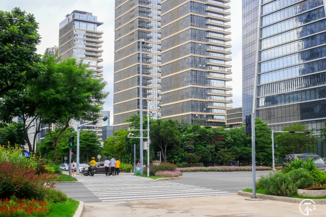 测评深圳湾,我直接被房租劝退