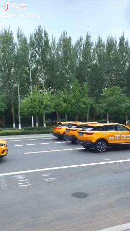 直播跑男长春在线观看,跑男探班直播