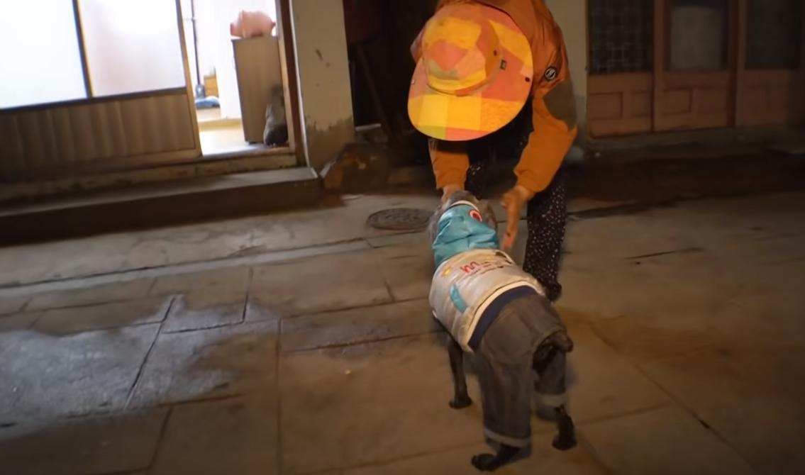 韩国老太独居深山40年,囤积癖老人去世