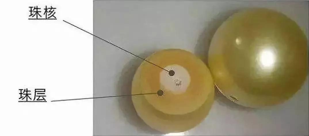 12毫米的淡水珍珠多少钱一颗,疯狂的黑珍珠