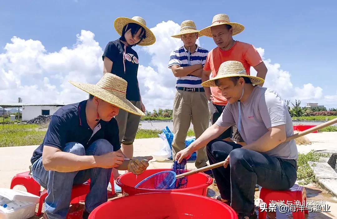 李勇：敢啃“硬骨头”助产业发展