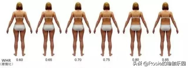 何穗谈陈伟霆理想型,陈伟霆何穗健身vlog