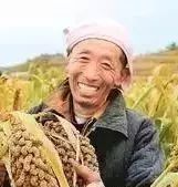 看完，会让你爱上桂平、感到自豪……