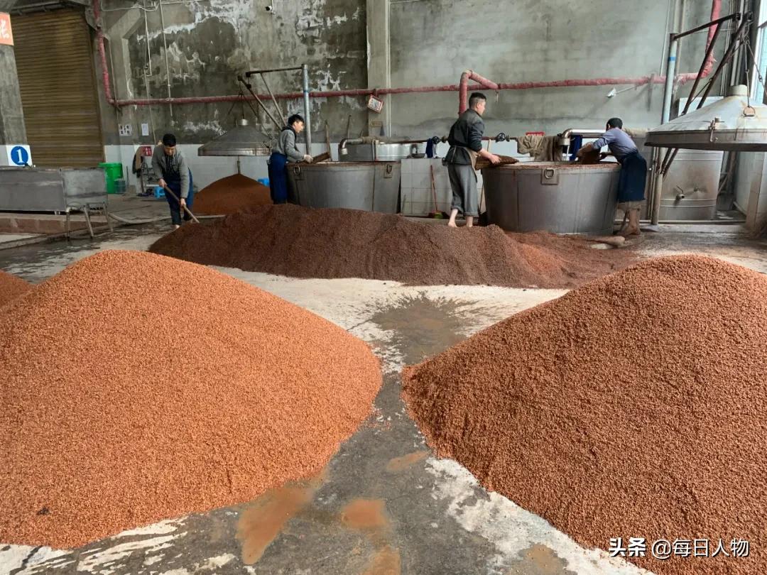 挣得比大厂多,把人生泡在酒里,那些不想离开茅台镇的年轻人