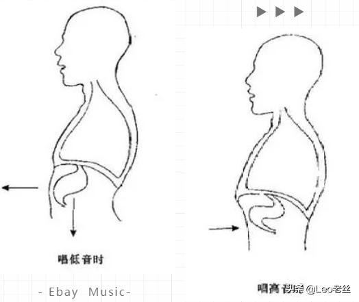 头腔鼻腔胸腔共鸣唱歌技巧,鼻腔头腔胸腔共鸣怎么结合起来