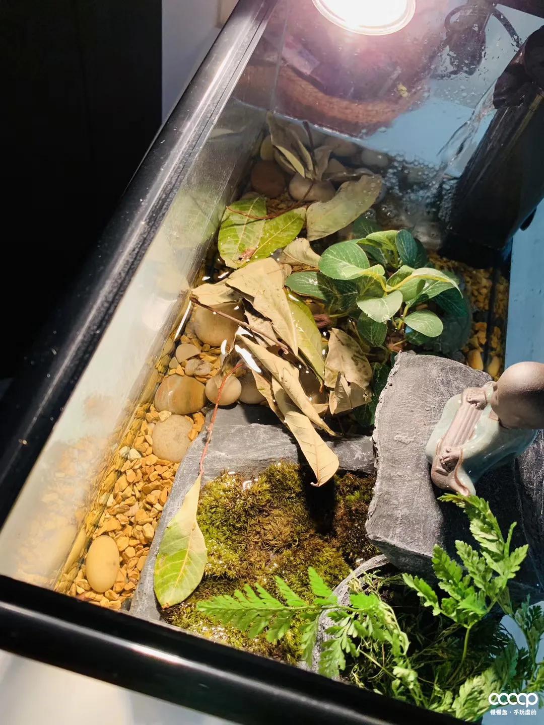 小金刚108颗配饰简单,长串小金刚怎么加配饰