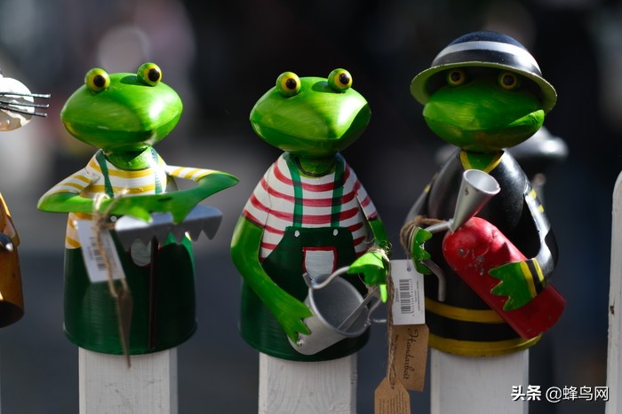 富士x-t30markii测评,富士x-t3深度评测