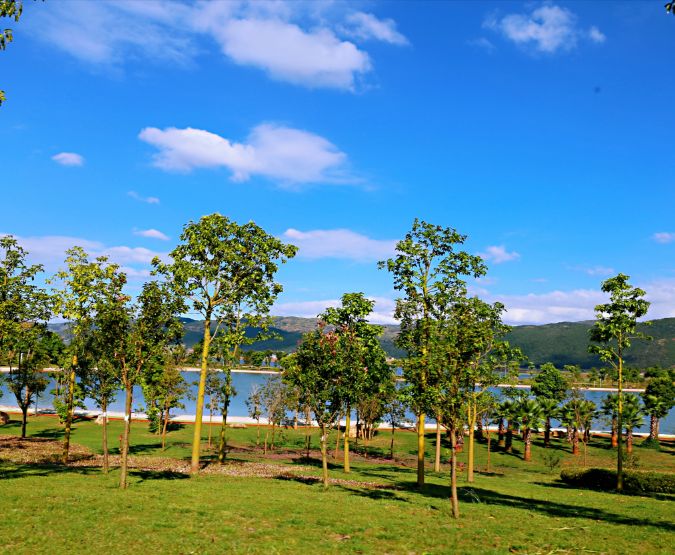 弥勒太平湖森林木屋酒店团购直播,弥勒太平湖森林木屋酒店有温泉