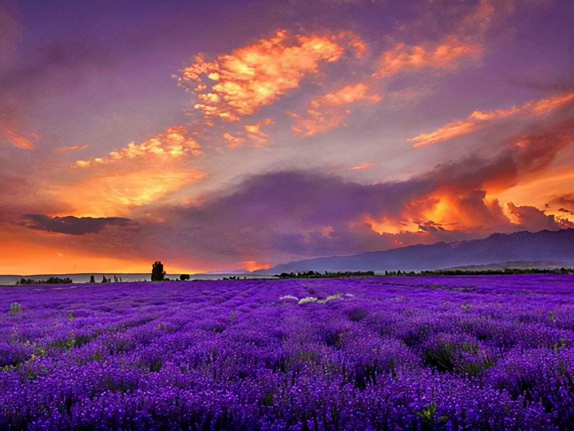 新疆伊犁高质量发展下的塞外江南,伊犁为什么会被称为塞外江南