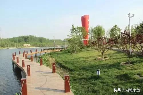 我叫枣强!这是我的最新简历