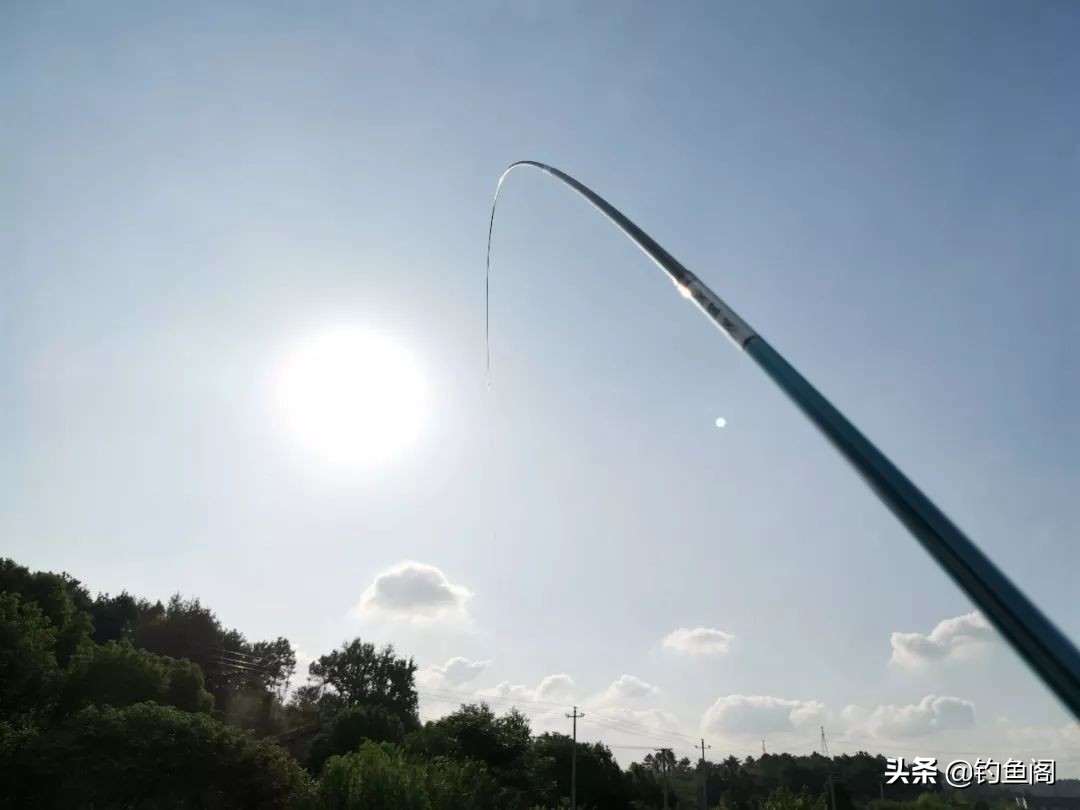 学习钓技需要注意哪些问题,怎么提升自己的钓技