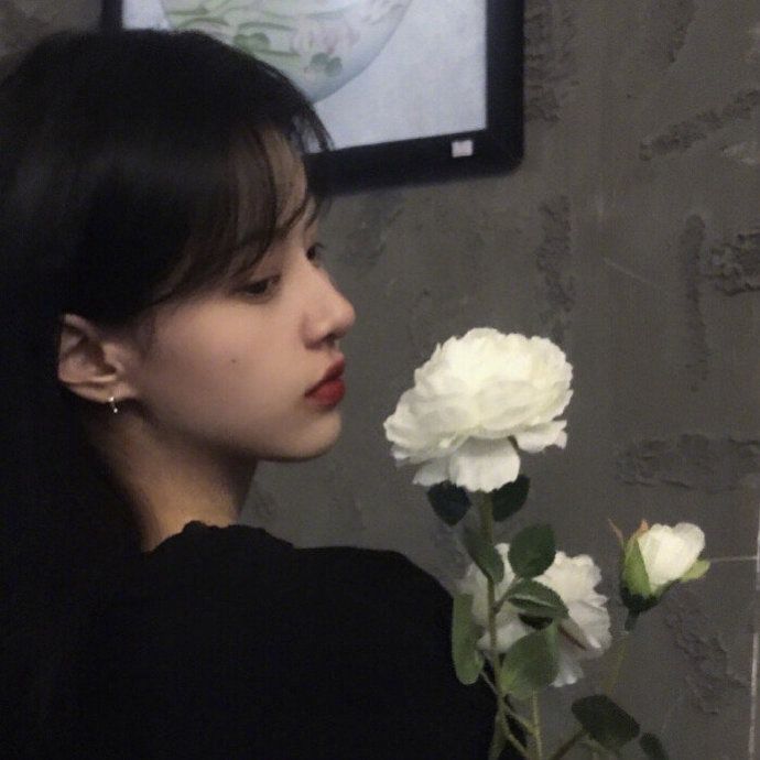 山有木兮木有枝的情话,山有木兮心悦君兮古风