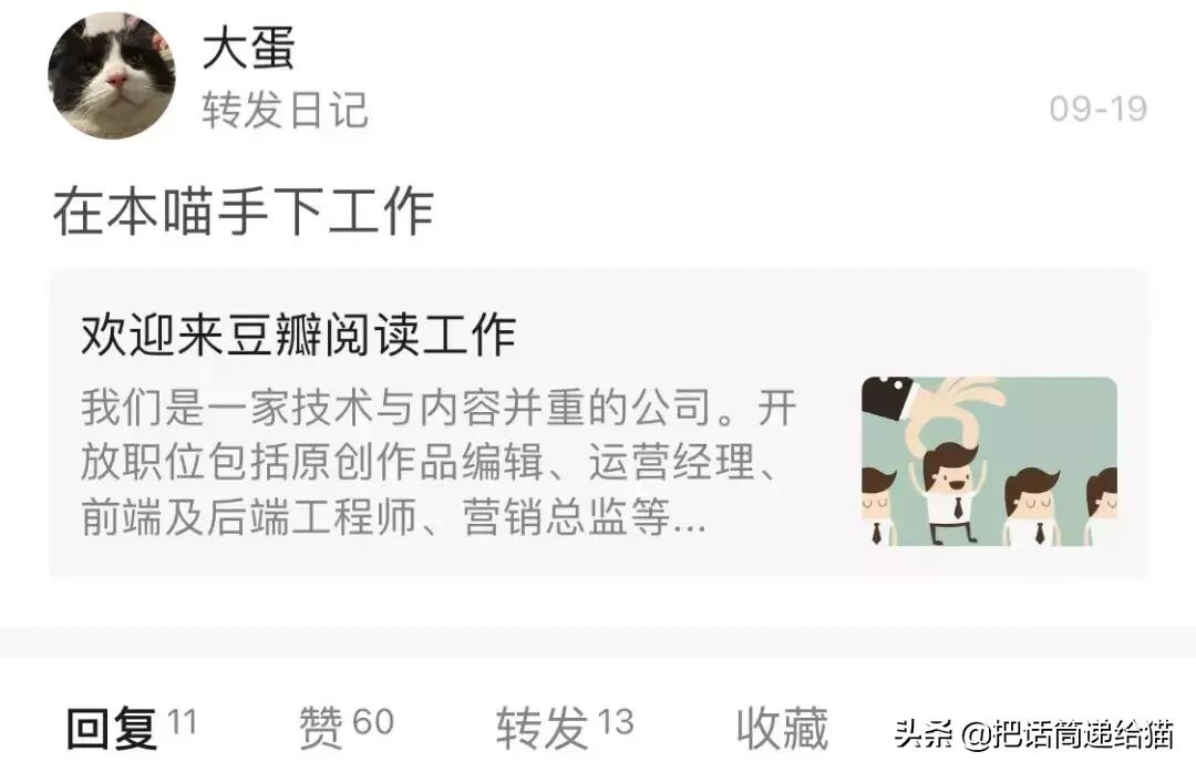 猫故事书籍,猫故事小说