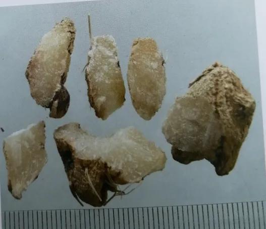 止血收敛的药有哪些,收敛止血中成药有哪些