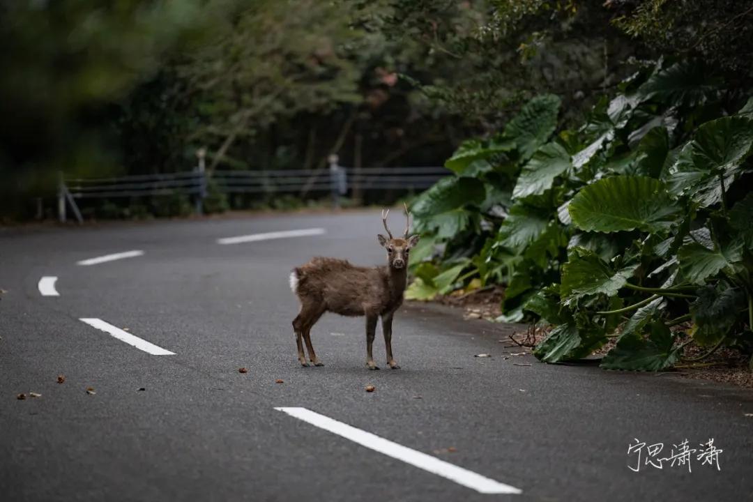 “5”缘有缘我与摄影的故事也是我与佳能“5”的故事