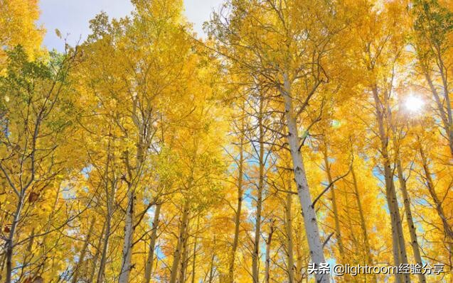 风光摄影自然光线使用方法,自然风景摄影中常用的几种光线