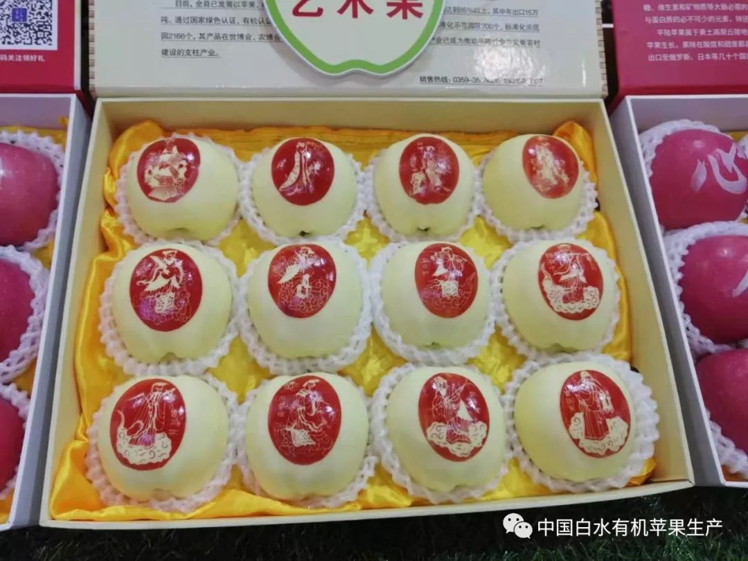 苹果越来越难卖果农将如何应付,白水新苹果果园