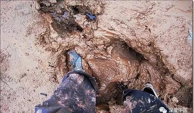 湿热体质的症状和调养,湿热体质的症状及调节