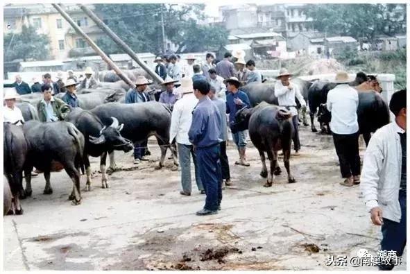 在潮汕，清代的时候，就有“代购”？不愧是百载商埠……