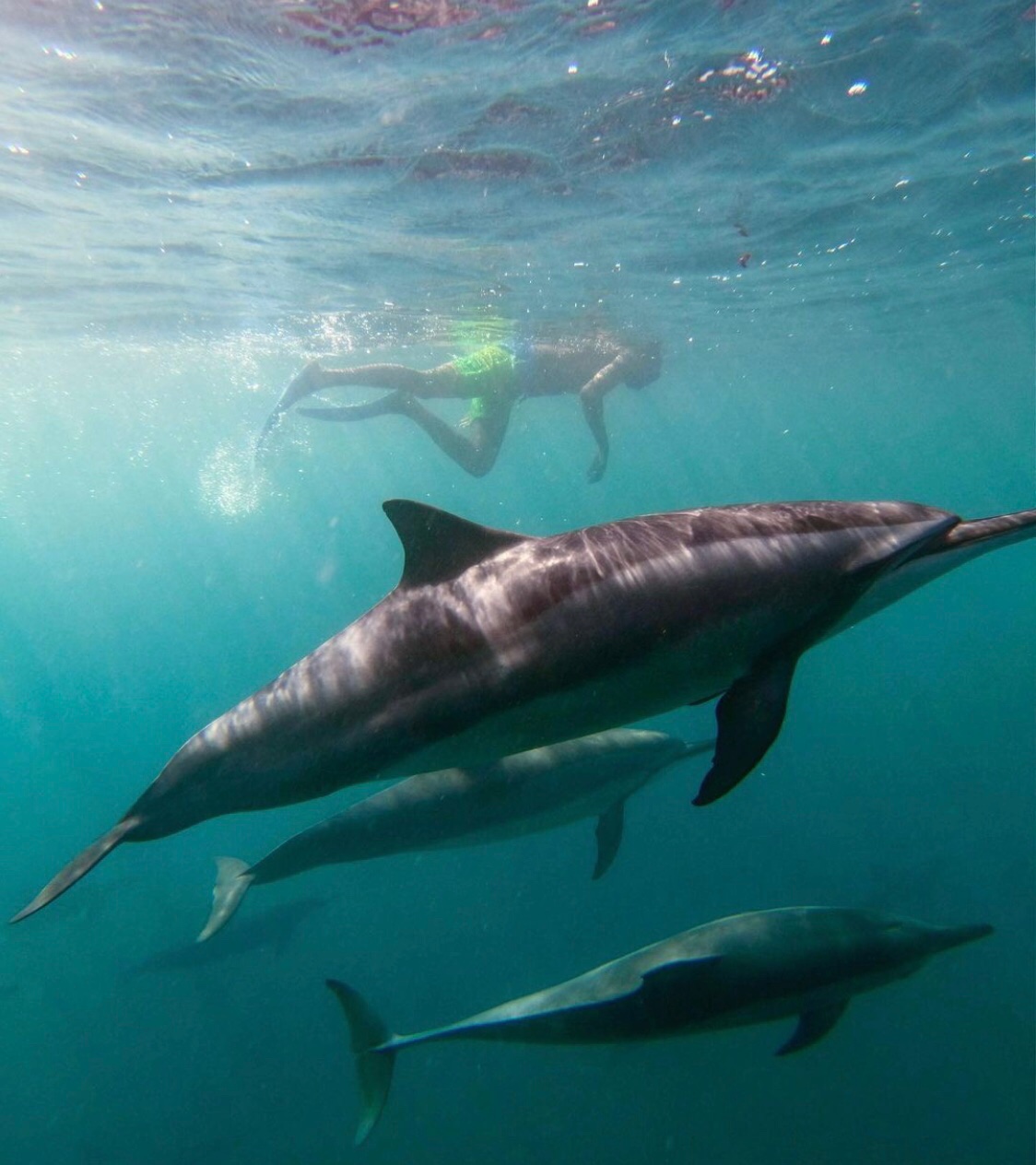 毛里求斯自由行准备,毛里求斯旅游6天5晚