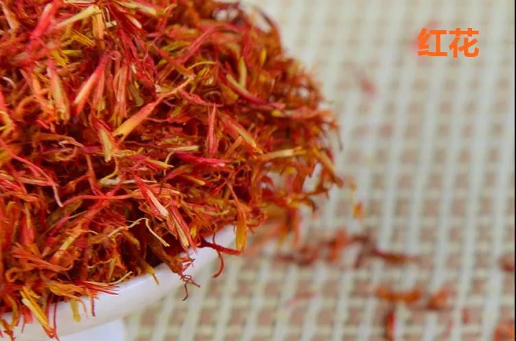 每天学习一味中药紫草,每天学习一味中药视频