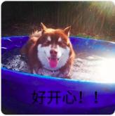 台湾网友评论大陆人吃得起茶叶蛋,台湾人羡慕大陆的感受