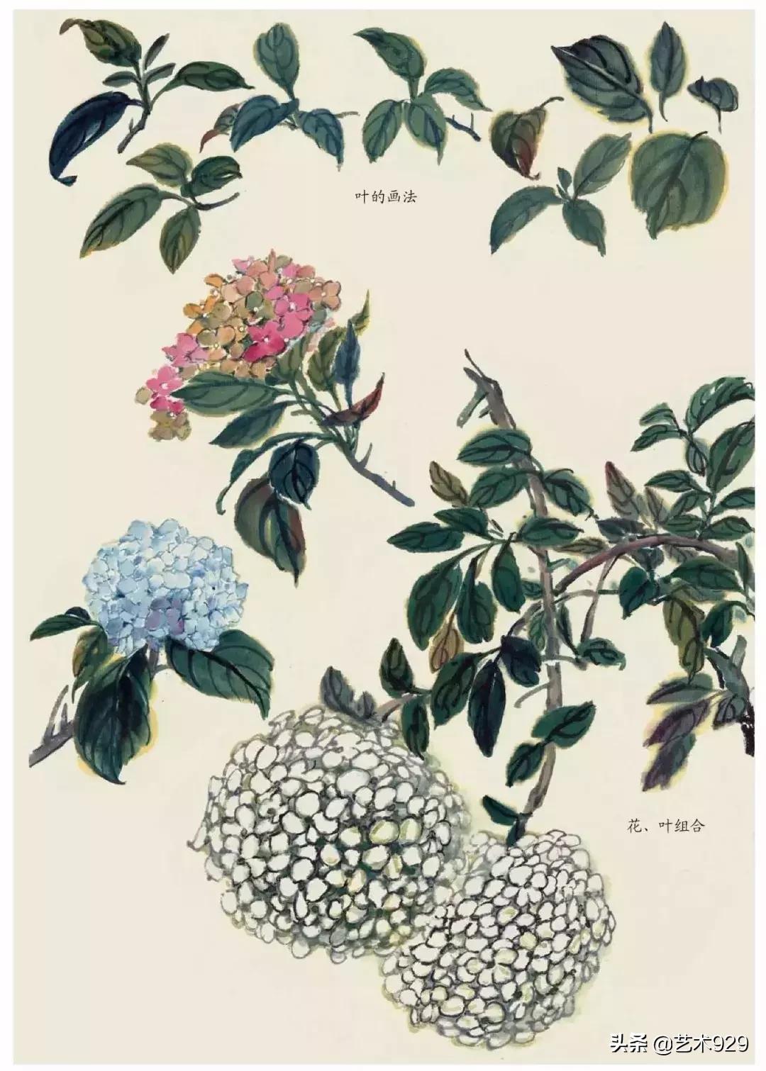 国画技法工笔花卉配色与花叶染法,国画欣赏精致的工笔彩色花卉