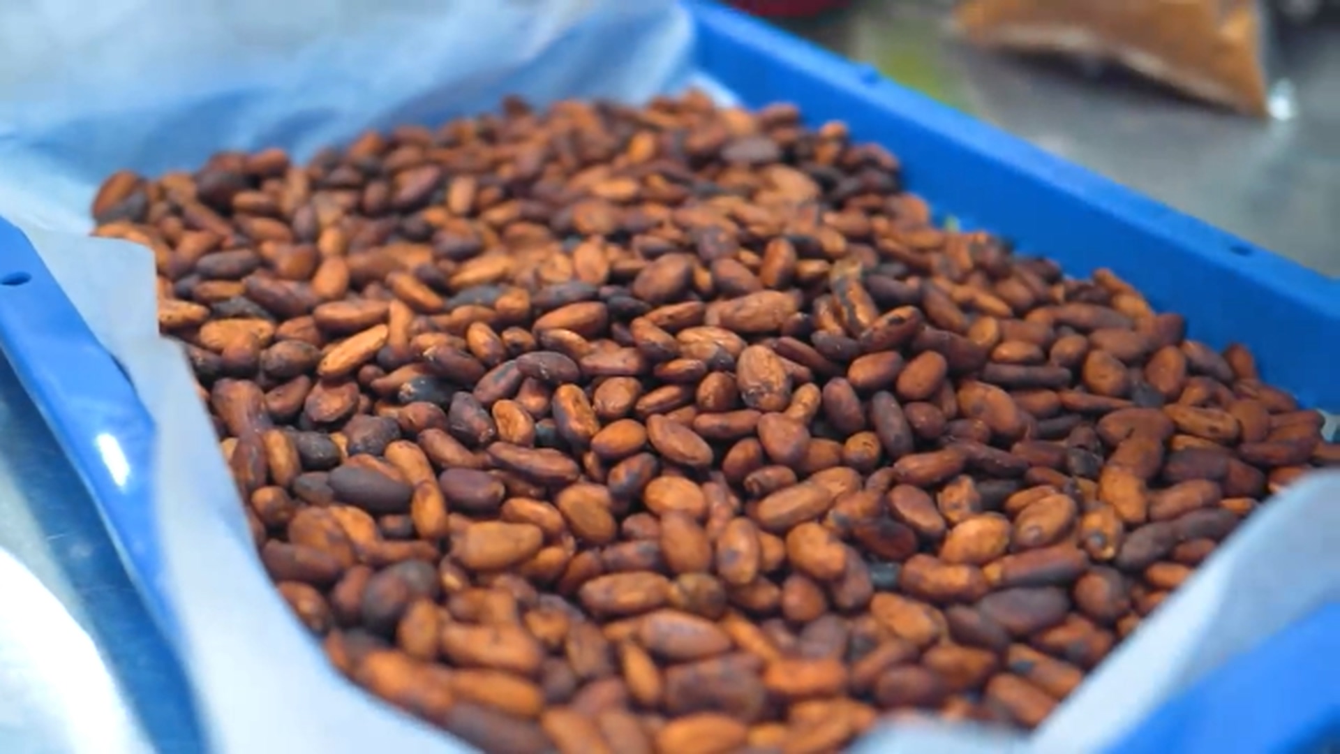 怎样用100%巧克力豆自制巧克力,论一个美味的巧克力的制作过程