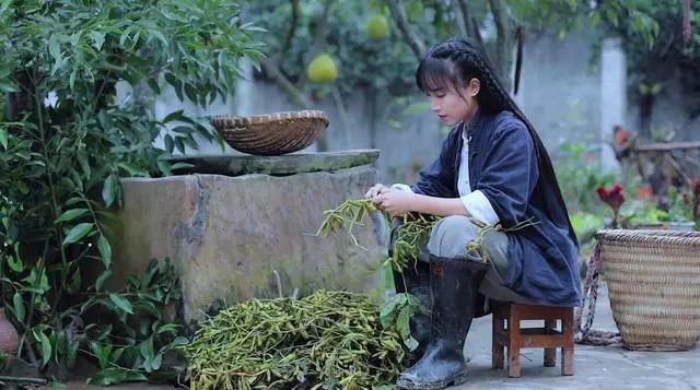 一个人的团队干掉知乎！互联网时代下，你要学会讲故事