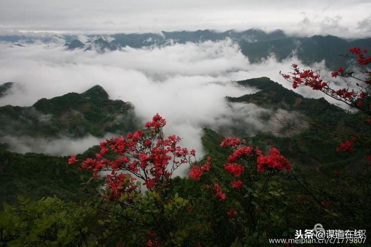 苏马荡程门,苏马荡托斯卡花谷