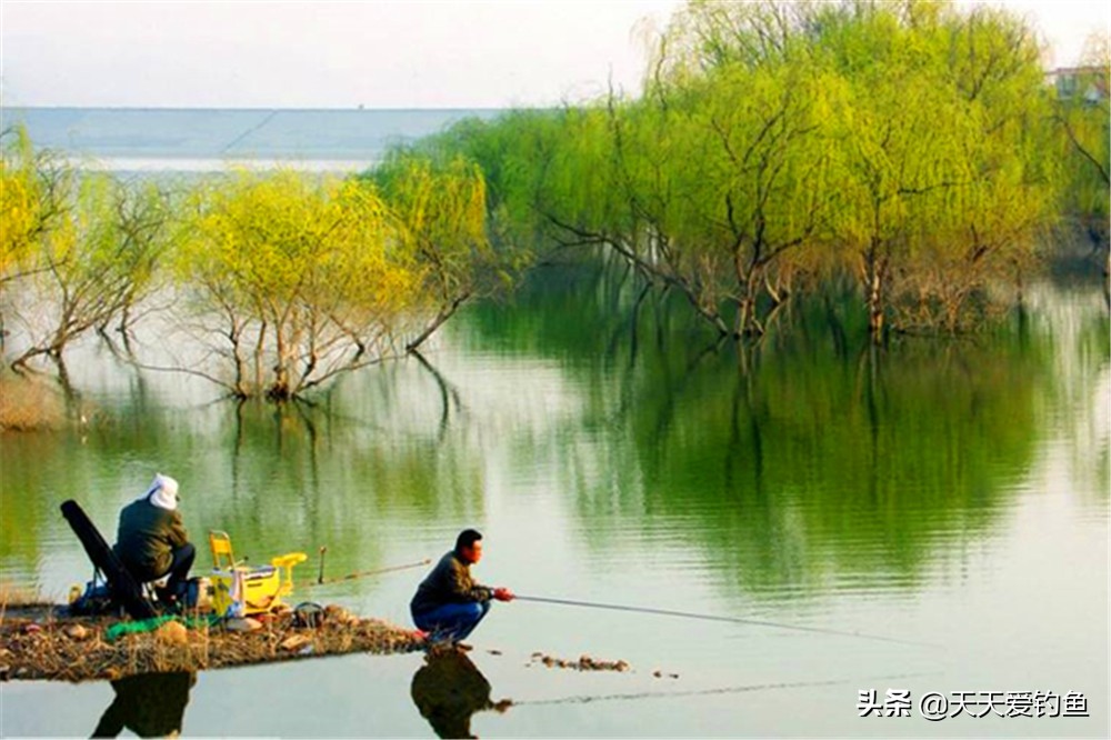 一看就是钓鱼人的网名,不提钓鱼一看就知道钓鱼的网名