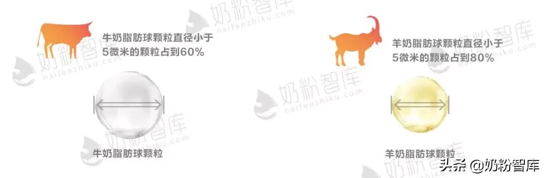 羊奶好吸收吗营养价值高吗,陕西羊奶哪个品牌排名第一