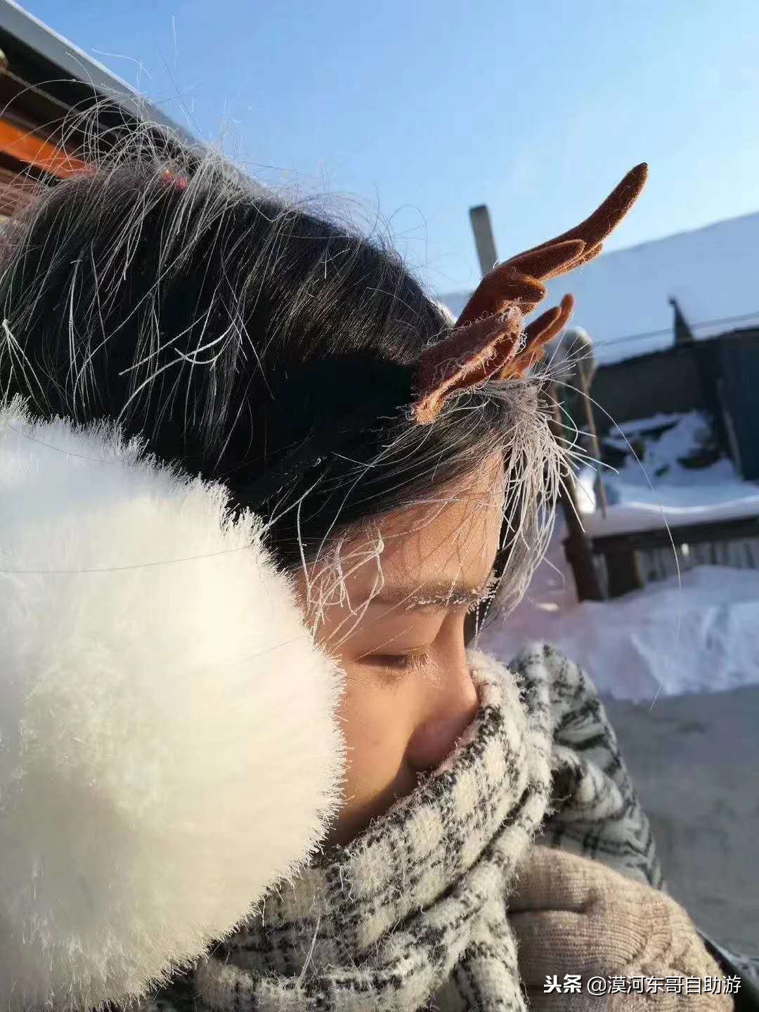 漠河极寒之旅,漠河遇到熊