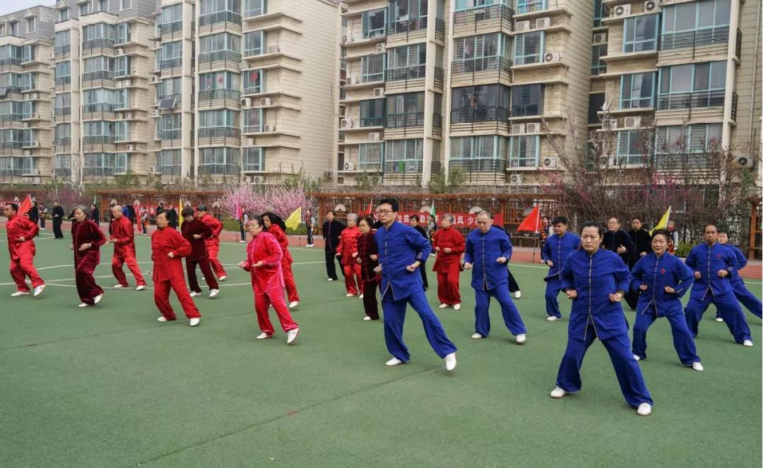 太极拳校园活动,邯郸太极进校园