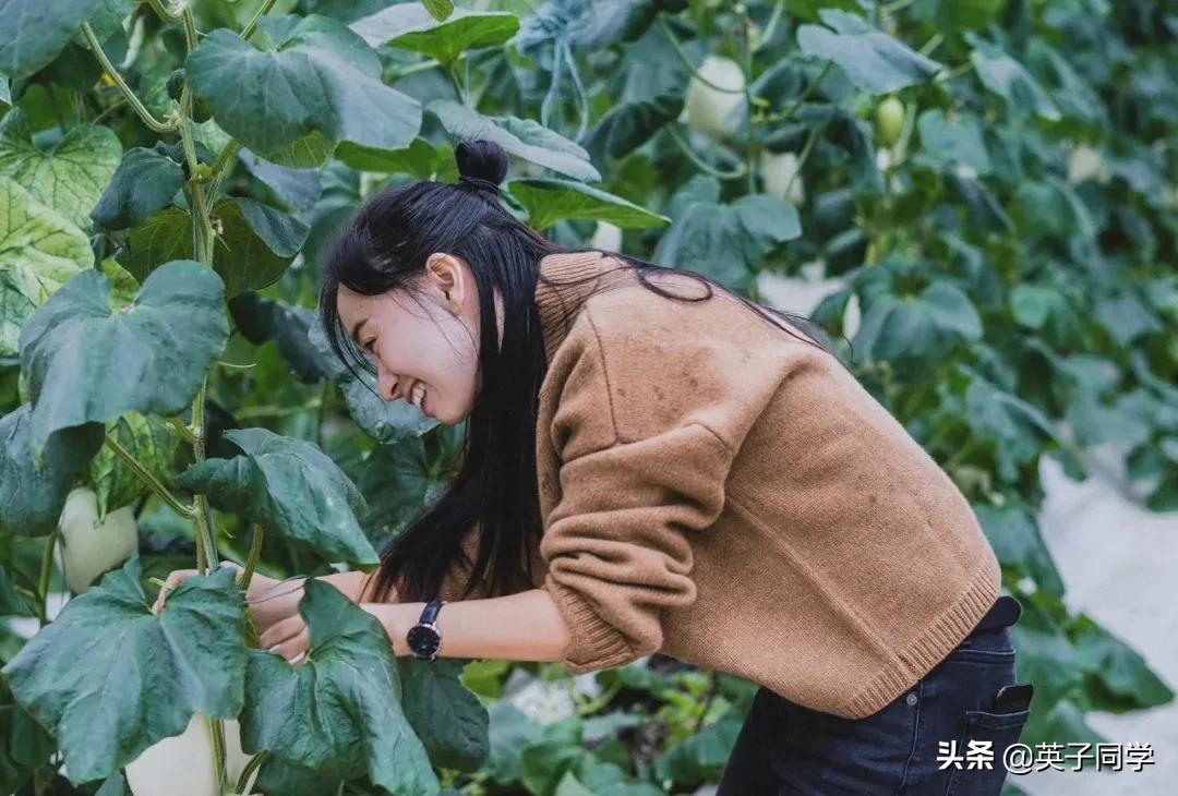 南昌生态谷智慧农场采摘,南昌亲子采摘踏青