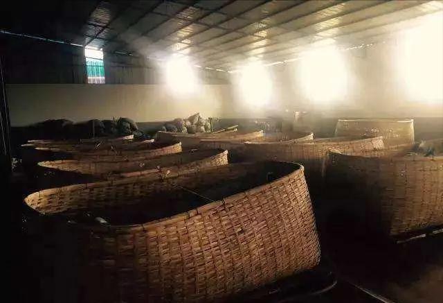 普洱茶变酸味是什么原因,普洱茶喝出酸味的原因及解决办法