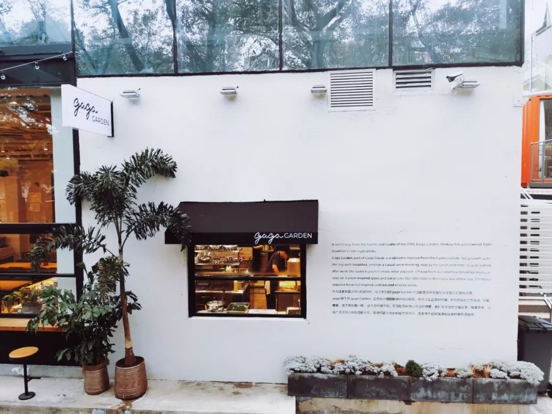 gaga鲜语工作靠谱吗,gaga鲜语访谈