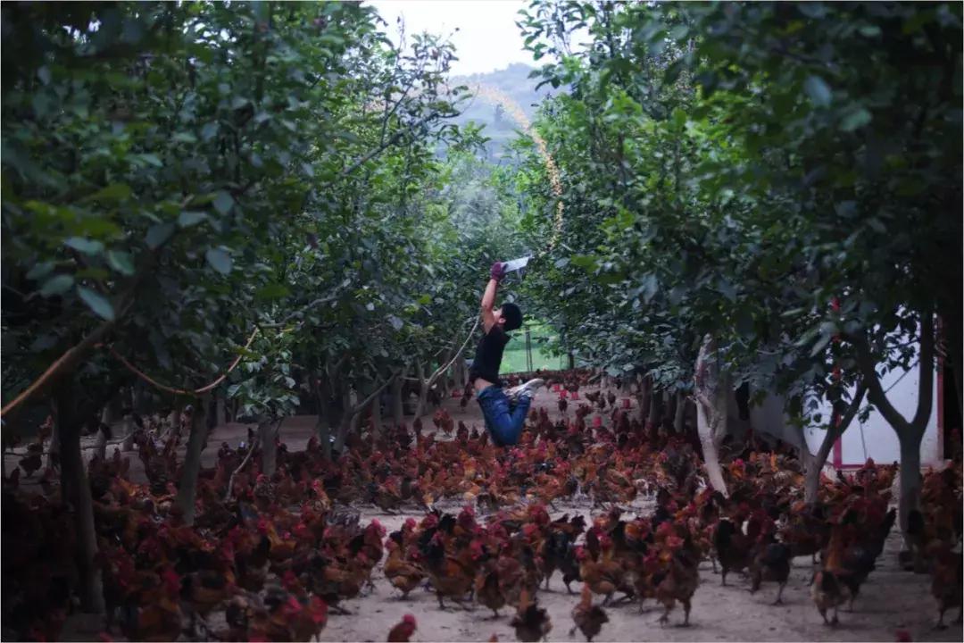 互联网改变面孔,互联网温暖的一面