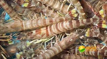 舟山海鲜攻略2天3晚吃什么,舟山海鲜代加工攻略