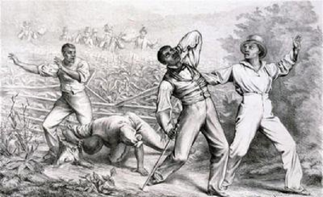 荷属南非,荷属殖民地有哪些