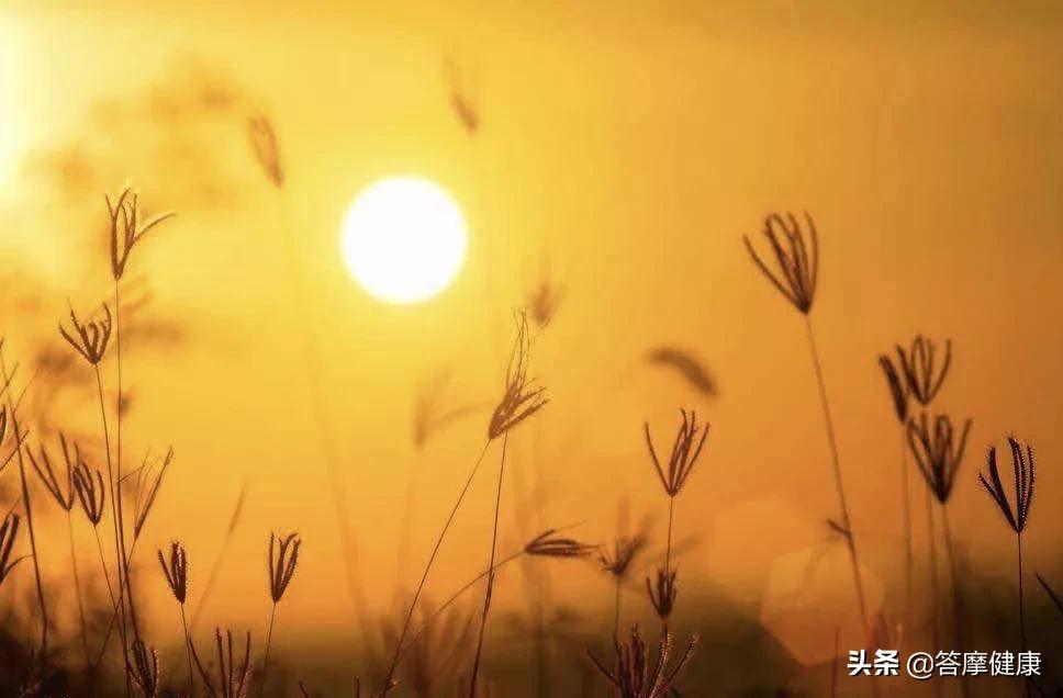 道真可有可无,道真县地理位置