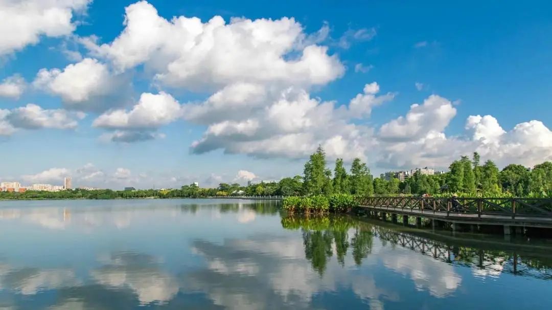 广州凉爽又好玩公园在哪里,夏季广州公园游玩攻略