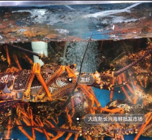 大连解放广场极品汇农贸市场,大连金州雍景湾农贸市场有哪些