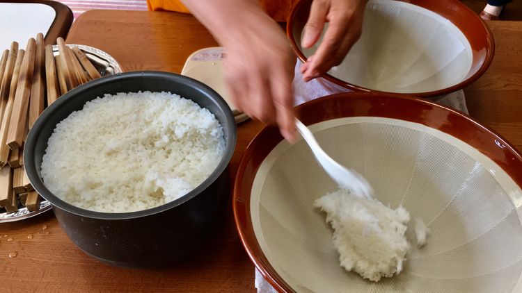 日本自由行奈良,日本秋田大馆旅游