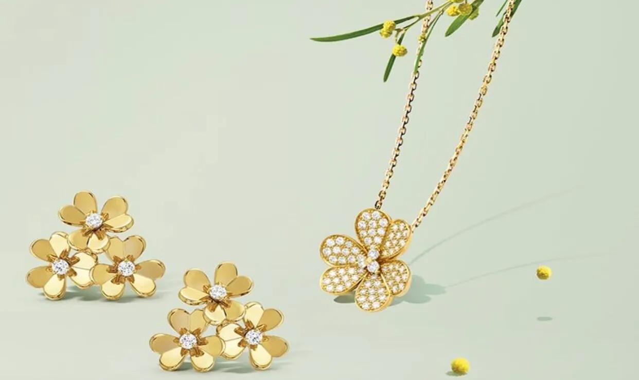 一条项链要多少克白银,梵克雅宝项链白贝母选什么样子的