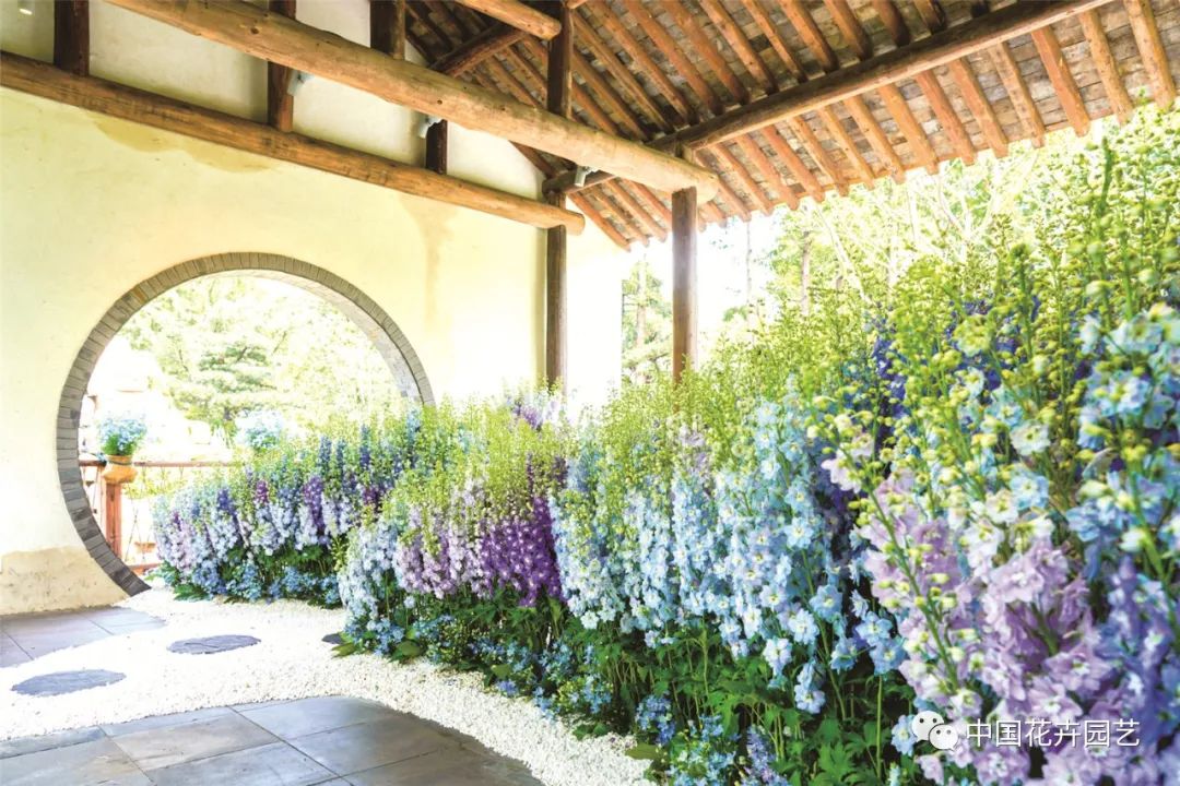 增强核心竞争力园艺国货未来可期|“中国产品中国造”专题